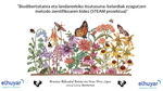 “Biodibertsitatea eta landareekiko itsutasuna” izeneko STEM-proiektua martxan jarri dugu Hondarribiko Talaia BHI ikastetxean Elhuyarrekin elkarlanean!